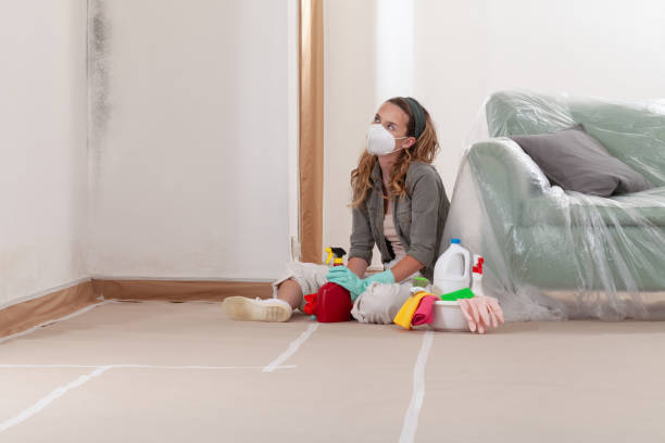 Reliable Mold Remediation contractor in Long Beach, MD by WQB Mold Removal